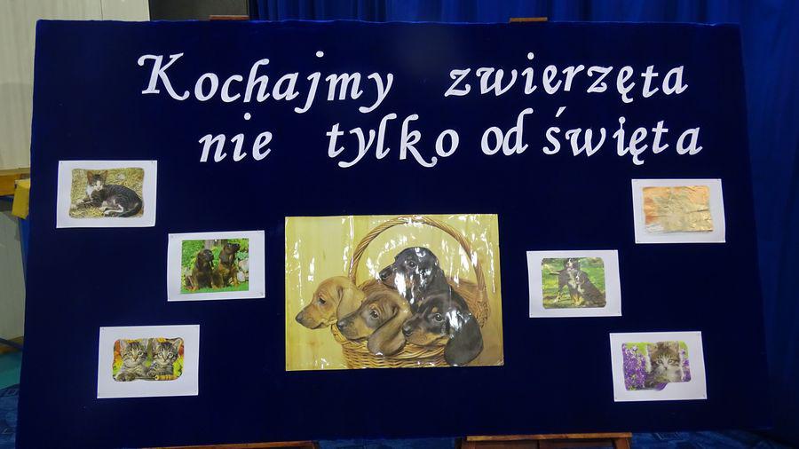 Kochajmy zwierzęta