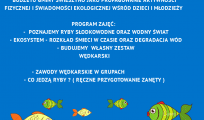 okonek